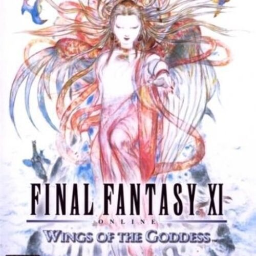 final fantasy 11 final fantasy 11