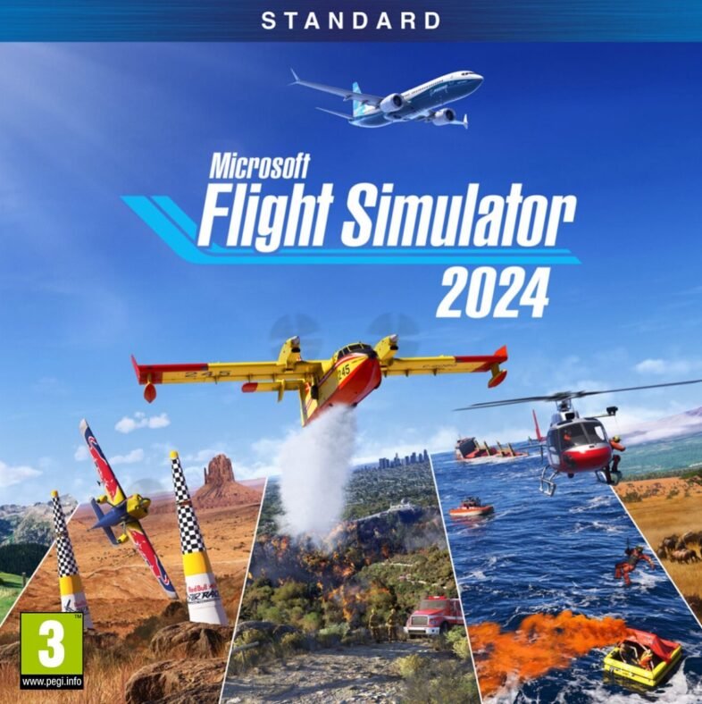 flight sim